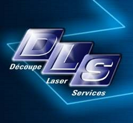 Logo DLS.jpg